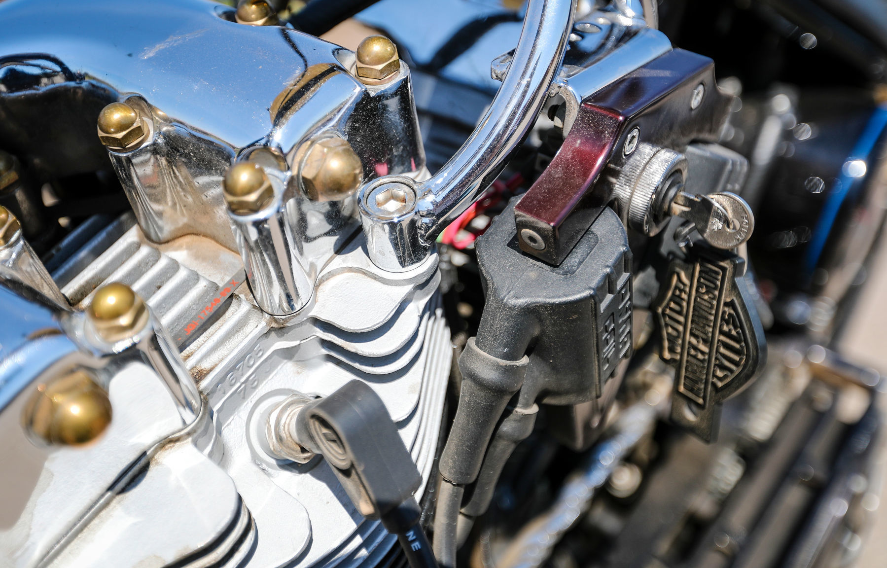 Bike of the Day Five